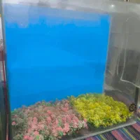 آکواریوم شرکتی|لوازم جانبی حیوانات|قزوین, |دیوار