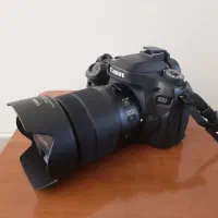 کنون 80d در حد نو