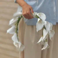 دسته گل عروس|خدمات پذیرایی، مراسم|اصفهان, شاهزید|دیوار