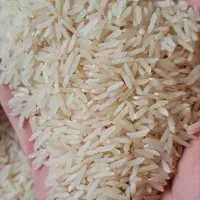 برنج ایرانی|عمدهفروشی|شاهینشهر, شهرک سایت|دیوار