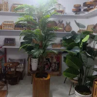 انواع ظروف چوبی