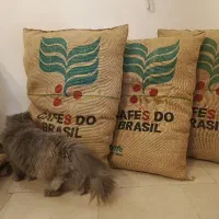 تشک گربه و سگ (کتنیپ دار و ساده)