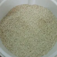 برنج هاشمی صدری درباری باعطر.پخت عالیکشت امسالدرود
