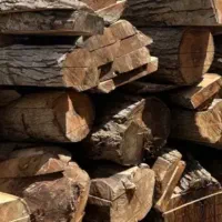 خریدار چوب گردو کاج چنار وغیره