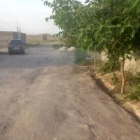 زمین باغی اول باغفراگرد 600 متری|فروش زمین و ملک کلنگی|مشهد, باغ فراگرد|دیوار