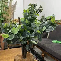 درختچه های جذاب و زیبا  با تنه طبیعی|صنایع دستی و سایر لوازم تزئینی|بهشهر, |دیوار