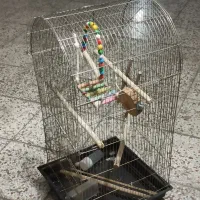 قفس پرنده عروس هلندی