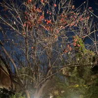 اپارتمان۱۲۷متری خیابان خورشید ناطقی