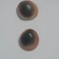 مهره|کلکسیون اشیاء عتیقه|کرمانشاه, |دیوار