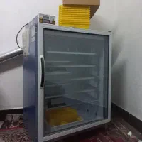 دستگاه420عددی تمام اتومات بلدرچین دماوند|ماشین‌آلات صنعتی|خرم‌آباد, |دیوار
