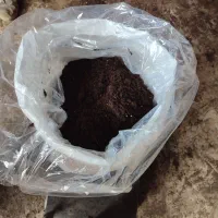 ورمی کمپوست|خدمات باغبانی و درختکاری|شیراز, حافظیه|دیوار