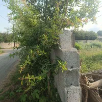 زمین مسکونی به مساحت ۲۵۰متر سند تک برگ|فروش زمین و ملک کلنگی|رضوانشهر, |دیوار