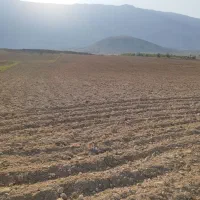 زمین کشاورزی کشت دیم|فروش دفتر صنعتی، کشاورزی، تجاری|کازرون, |دیوار