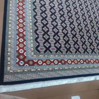 فرش|فرش|بندر ترکمن, |دیوار