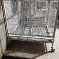 باکس نگهداری حیوان خانگی .