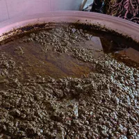 ترشواش وقرمه سبزی محلی آماده ارسال