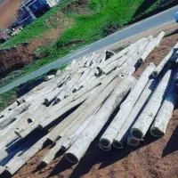 خریدار چوب و درخت