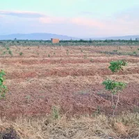 1000 متر باغچه پسته روستای شادات بوئین زهرا|فروش دفتر صنعتی، کشاورزی، تجاری|بوئین زهرا, |دیوار