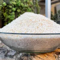 برنج طارم هاشمی دابودشت فریدونکنار/طارم/عطری خالص|خوردنی و آشامیدنی|قم, صفائیه|دیوار