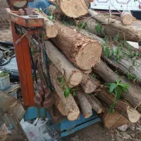 خرید چوب|خدمات باغبانی و درختکاری|مسجد سلیمان, |دیوار