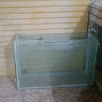 آکواریوم ماهی