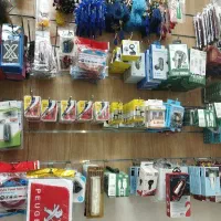 نیازمند استاد کار تزییناتی