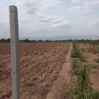 فروش زمین کشاورزی