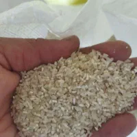 سرلاشه طارم درجه یک بون تخم علف تمیز|خوردنی و آشامیدنی|کلاله, |دیوار