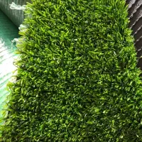 انواع چمن، فنس و گرینوال