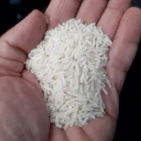 برنج شیرودی گیلان اعلا سورت شده