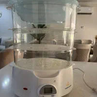 بخار پز