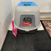 گربه ناز|گربه|مشهد, کوی سیدی|دیوار