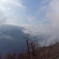 فروش زمین به مساحت ۱۰۰۰متر بامدارک کامل بروز|فروش زمین و ملک کلنگی|تالش, تالش|دیوار