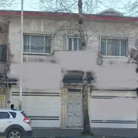 مزایده یک پلاک ثبتی تجاری-مسکونی در بر اصلی مطهری