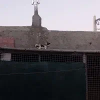 توضیحات رو بخونید