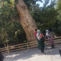 کیف مدارک گم شده