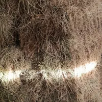 یونجه|لوازم جانبی حیوانات|لالجین, |دیوار