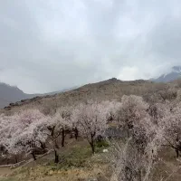 اجاره ده بالا طبقه بالا