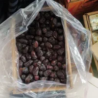 پخش عمده و خرده خرما|عمده‌فروشی|گرگان, |دیوار