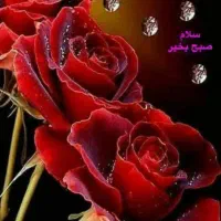 گل و گیاه