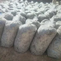 فروش تفاله چغندر، تر و خشک تحویل در محل شما