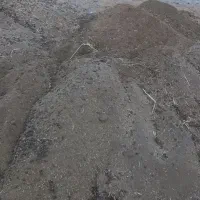 خاک گوسفند