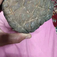 انواع سنگ  وشهاب سنگ واقعی به مقدارفراوان