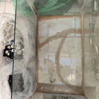 آکواریوم سالم به همراه سنگها|ماهی|زارچ, |دیوار