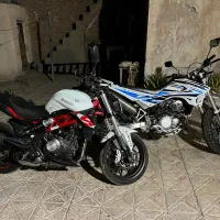 بنلی ۳۰۰ وتریل پیشرو گلد ۲۵۰