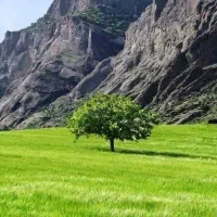 باغ دره شیر سانیج