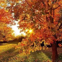 حج تمتع یا واجب