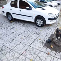 ۲۰۶استی مدل ۹۱