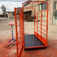 باسکول دامکش باسکول گوساله کش باسکول دامداری|فروشگاه و مغازه|پاکدشت, پاکدشت (مامازند)|دیوار