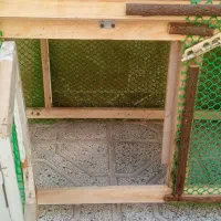 قفس سالم مفت فقط پول توراشو میشه 1100